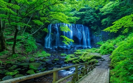 Beautiful forest waterfall - greenery, trees, summer, beautiful, forest, lovely, waterfall, hidden, exotic, bridge