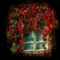 Bright Autumn Window