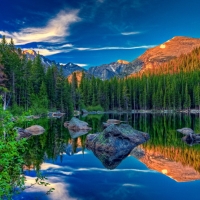 Green Forest Surrounding a Mirror Lake