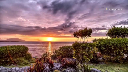 Sea Sunset - nature, sky, trees, reflection, clouds, sunset, sea