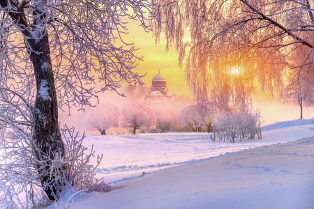 Winter Morning - Trees, Light, Snow, Church, Frost