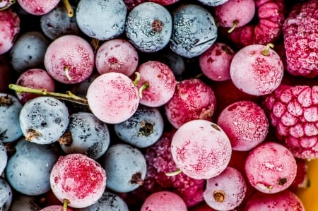 Berries - skin, frozen, blue, autumn, food, fruit, texture, pink