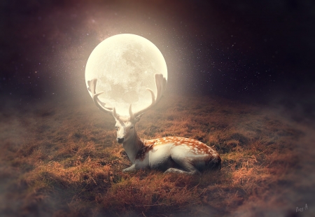 Moon - moon, luna, deer, fantasy, creative, rafy a, horns