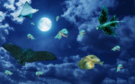 :-) - moon, sky, night, fantasy, creative, flying, butterfly, cloud, blue, luminos, fish, luna