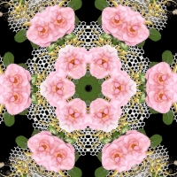 ROSES AND LACE KALEIDOSCOPE