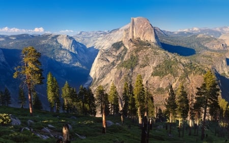 Yosemite National Park, California - trees, forest, mountains, half dome, rocks