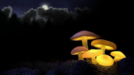 Golden Glowing Mushrooms - mushrooms, glow, sky, clouds, light, night, firefox persona theme, toadstools