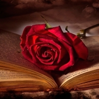 Book of Roses