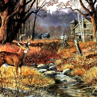 Forgotten Valley - Deer