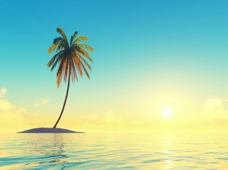 Island with coconut tree - Ocean, Water, Summer, Tree, Sky