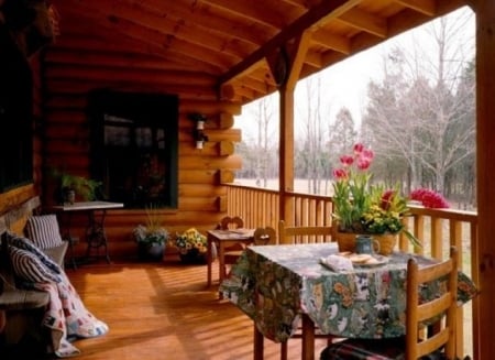 cabin"s veranda