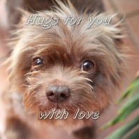 HUGS FOR YOU