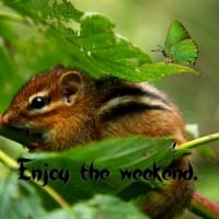 ENJOY THE WEEKEND