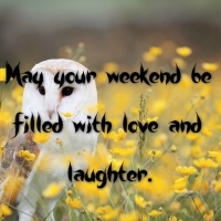 MAY YOUR WEEKEND