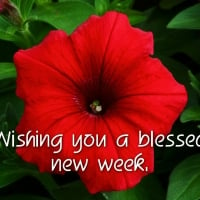 BLESSED WEEK