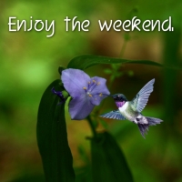 ENJOY THE WEEKEND