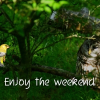 ENJOY THE WEEKEND