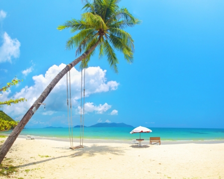 Beautiful Beach with coconut palm - vacation, beach, relex, sunny, summer, sand