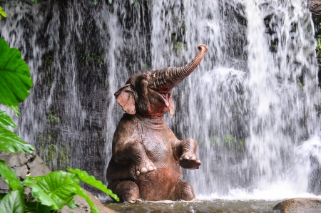 Happy elephant - elephant, mood, animal, summer, smile, waterfall, happy