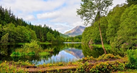 Tranquil lake - lake, mountain, trees, landscape, greenery, lovely, serenity, reflection, calmness, tranquil, beautiful, grass