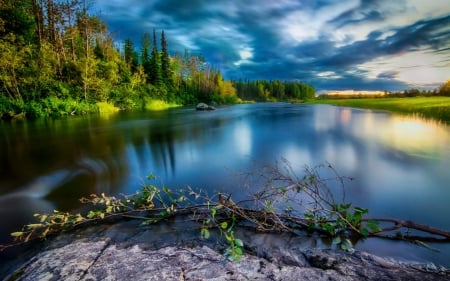 Blissful River - nature, sky, trees, forest, reflection, clouds, river