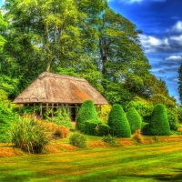 Hut on Green Forest