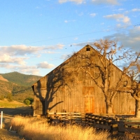 old east side road