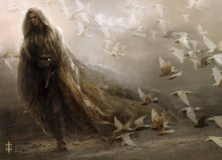 Wizard - bird, art, eveventrue, fantasy, pictura, pasare, luminos, painting, wizard, man