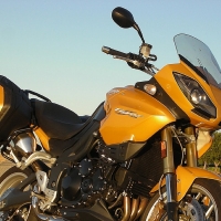 triumph tiger