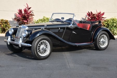 1954 MG TD TF Roadster - Car, TD, Sports, MG, TF, Old-Timer, Roadster