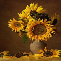 Sunflowers