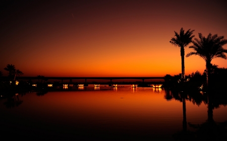 Night at Dubai - bridge, palm, sunset, resorts