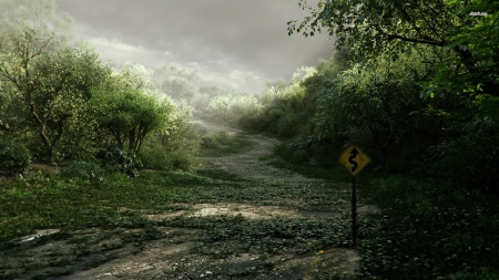 overgrown road - road, sign, grass, forest