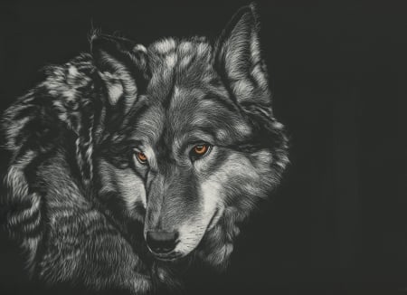 Wolf - white, wolf, animal, black, lup, luminos, art