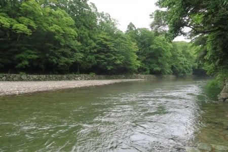 Forests and  streams - forest, nature, green, streams