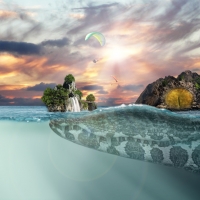 Island