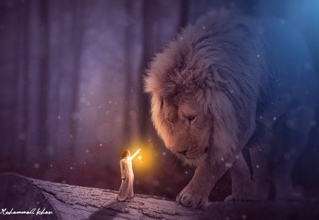 Little beauty and the beast - girl, night, creative, beast, lantern, fantasy, animal, lion, luminos