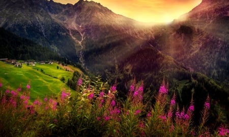 Mountain sun - valley, mountain, landscape, peaceful, sunset, rocks, village, view, beautiful, wildflowers, cliffs