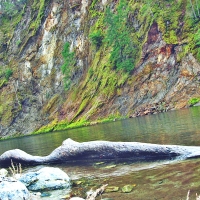 the Salmon river in California