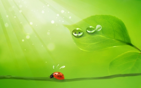 :-) - gargarita, ladybug, buburuza, vector, fantasy, dew, funny, red, green, water drops, cute, leaf