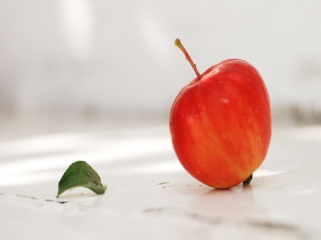 Season of Apple - apple, leaves, fruts, autumn