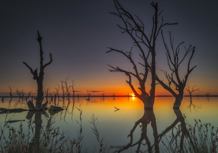 Sunset - lake, silhouette, trees, dawn