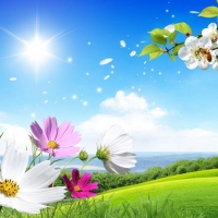 Spring Background