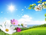 Spring Background