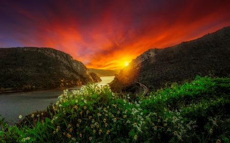 Heart poetry - heart, amazing, beautiful, poetry, wildflowers, river, camomile, sunset, fiery, lake, sky