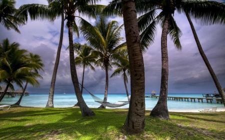 Beach of Kia Ora - palm trees, shore, outdoor, sea