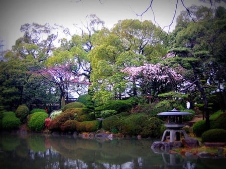 Japanese garden in a spring - Japanese, spring, nature, garden