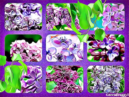 ABSTRACT LILAC COLLAGE - image, fractal, abstract, art