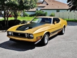 1973 Ford Mustang Mach 1