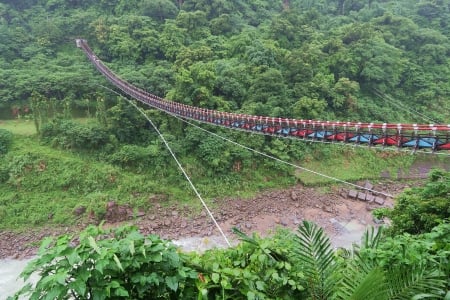 Suspension bridge - river, landscape, plants, suspension bridge, mountain, tree